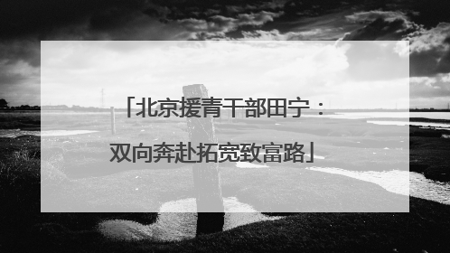 北京援青干部田宁：双向奔赴拓宽致富路
