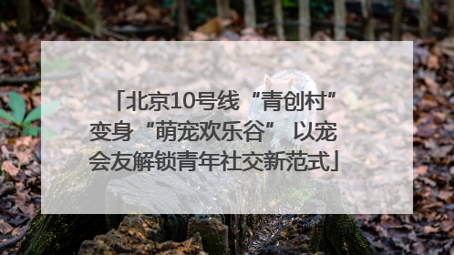 北京10号线“青创村”变身“萌宠欢乐谷” 以宠会友解锁青年社交新范式