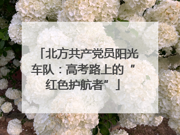 北方共产党员阳光车队：高考路上的“红色护航者”