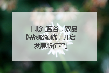 北汽蓝谷：双品牌战略领航，开启发展新征程
