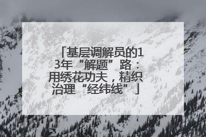 基层调解员的13年“解题”路：用绣花功夫，精织治理“经纬线”