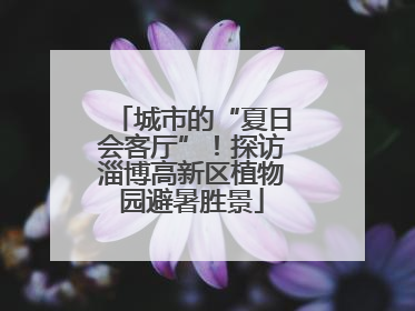 城市的“夏日会客厅”！探访淄博高新区植物园避暑胜景