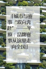城市与赛事“双向奔赴”——平原：品牌赛事从这里走向全国