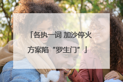 各执一词 加沙停火方案陷“罗生门”