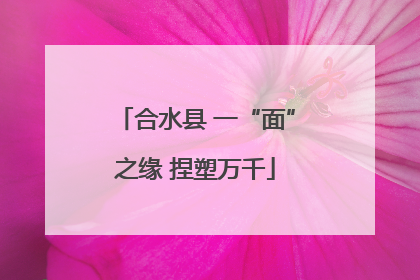 合水县 一“面”之缘 捏塑万千