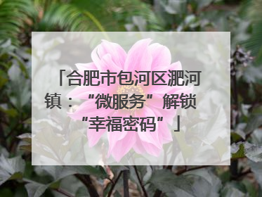合肥市包河区淝河镇：“微服务”解锁“幸福密码”