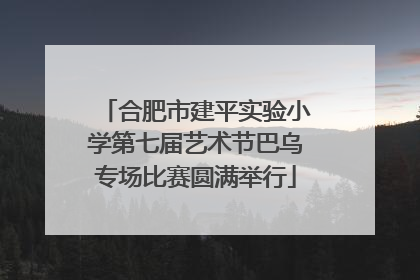 合肥市建平实验小学第七届艺术节巴乌专场比赛圆满举行