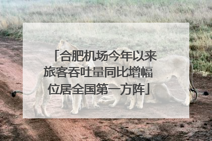 合肥机场今年以来旅客吞吐量同比增幅位居全国第一方阵