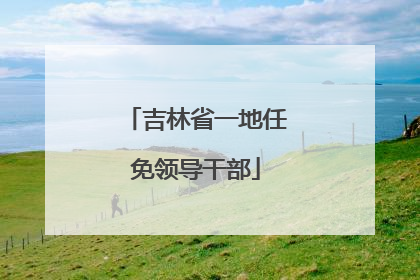 吉林省一地任免领导干部
