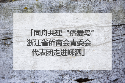 同舟共建“侨爱岛” 浙江省侨商会青委会代表团走进嵊泗