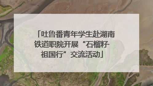 吐鲁番青年学生赴湖南铁道职院开展“石榴籽·祖国行”交流活动