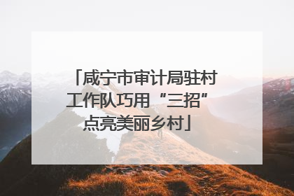 咸宁市审计局驻村工作队巧用“三招”点亮美丽乡村