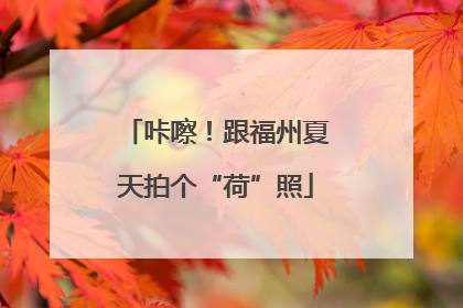 咔嚓！跟福州夏天拍个“荷”照