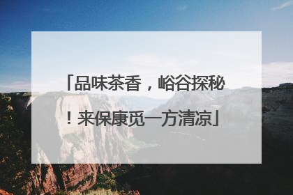 品味茶香，峪谷探秘！来保康觅一方清凉