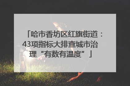 哈市香坊区红旗街道：43项指标大排查城市治理“有数有温度”