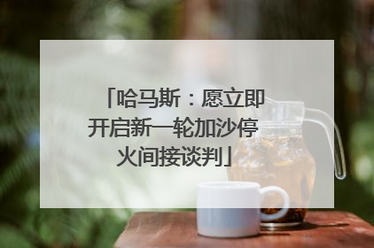 哈马斯：愿立即开启新一轮加沙停火间接谈判