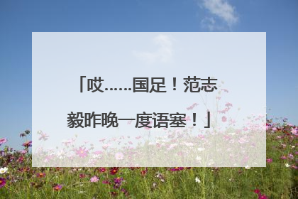 哎……国足！范志毅昨晚一度语塞！