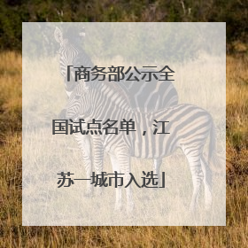 商务部公示全国试点名单，江苏一城市入选