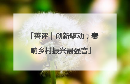 善评｜创新驱动，奏响乡村振兴最强音