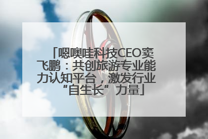 嗯噢哇科技CEO窦飞鹏：共创旅游专业能力认知平台，激发行业“自生长”力量