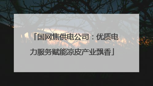 国网焦供电公司：优质电力服务赋能凉皮产业飘香