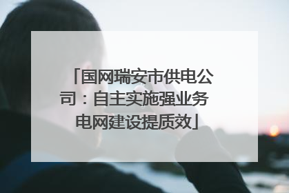 国网瑞安市供电公司：自主实施强业务 电网建设提质效