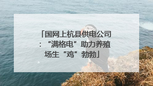 国网上杭县供电公司：“满格电”助力养殖场生“鸡”勃勃