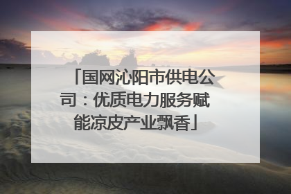 国网沁阳市供电公司：优质电力服务赋能凉皮产业飘香