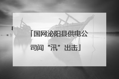 国网泌阳县供电公司闻“汛”出击