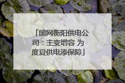 国网衡阳供电公司：主变增容 为度夏供电添保障