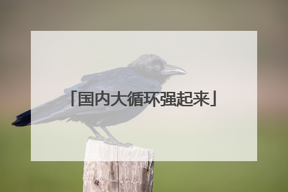 国内大循环强起来