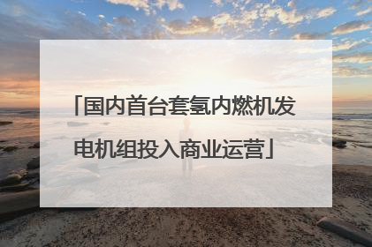 国内首台套氢内燃机发电机组投入商业运营