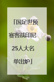 国足世预赛客战印尼25人大名单出炉