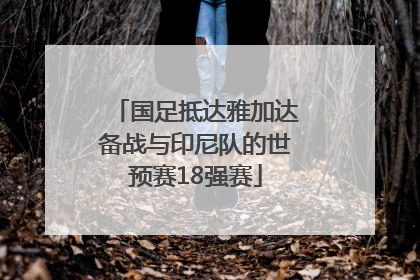 国足抵达雅加达备战与印尼队的世预赛18强赛