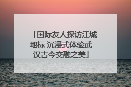 国际友人探访江城地标 沉浸式体验武汉古今交融之美