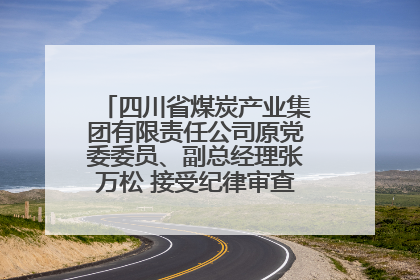 四川省煤炭产业集团有限责任公司原党委委员、副总经理张万松 接受纪律审查和监察调查