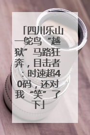 四川乐山一鸵鸟“越狱”马路狂奔，目击者：时速超40码，还对我“笑”了下