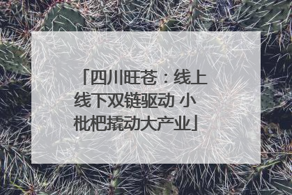 四川旺苍：线上线下双链驱动 小枇杷撬动大产业