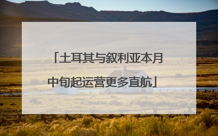 土耳其与叙利亚本月中旬起运营更多直航