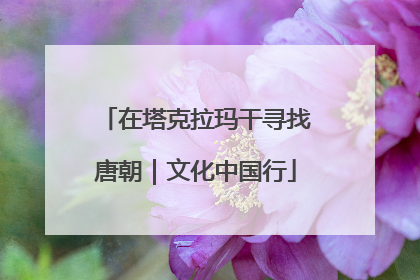在塔克拉玛干寻找唐朝｜文化中国行