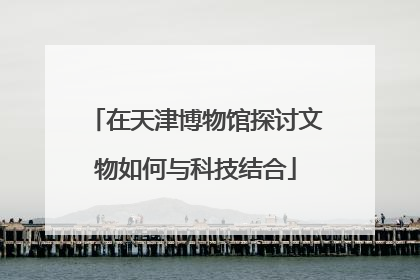 在天津博物馆探讨文物如何与科技结合