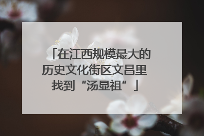 在江西规模最大的历史文化街区文昌里找到“汤显祖”