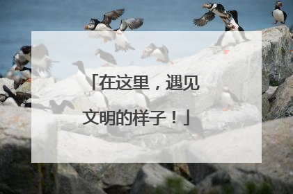 在这里，遇见文明的样子！