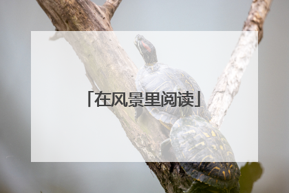 在风景里阅读