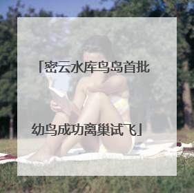 密云水库鸟岛首批幼鸟成功离巢试飞