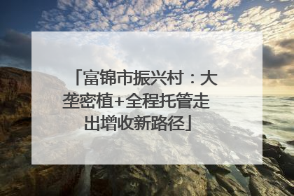 富锦市振兴村：大垄密植+全程托管走出增收新路径
