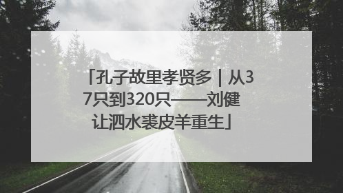 孔子故里孝贤多｜从37只到320只——刘健让泗水裘皮羊重生