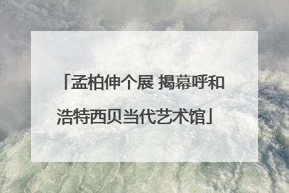 孟柏伸个展 揭幕呼和浩特西贝当代艺术馆