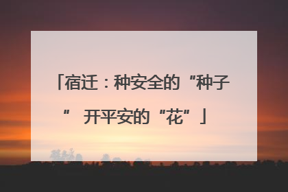 宿迁：种安全的“种子” 开平安的“花”