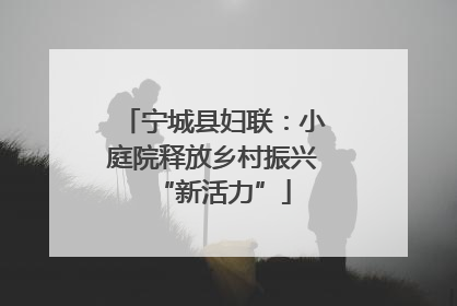 宁城县妇联：小庭院释放乡村振兴“新活力”
